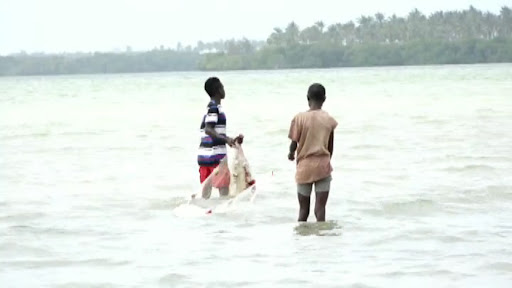 Mida Creek youth do fishing along the creek