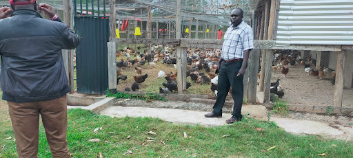 Members of the King and Queens chicken cooperative at one of their store in Endebes subounty.