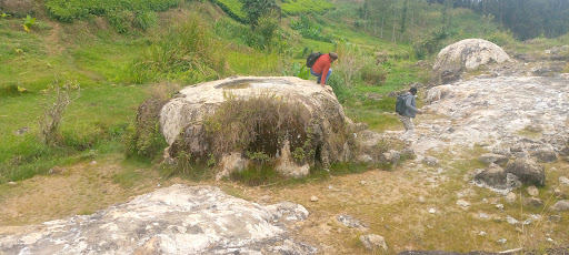 The rock reserved for elephants at Tharu Salt Lick in Meru.