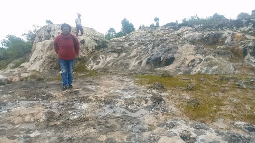 Rose Kinanu, at Tharu salt lick, which she said hosts a huge number of guests daily. About seven acres are conserved.