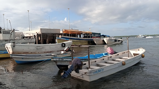 Boats parked in their yards in Lamu island.