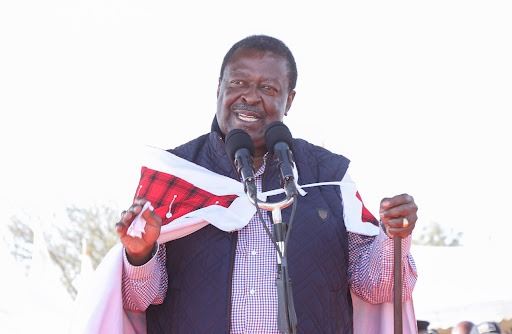 Prime Cabinet Secretary Musalia Mudavadi speaking during the 