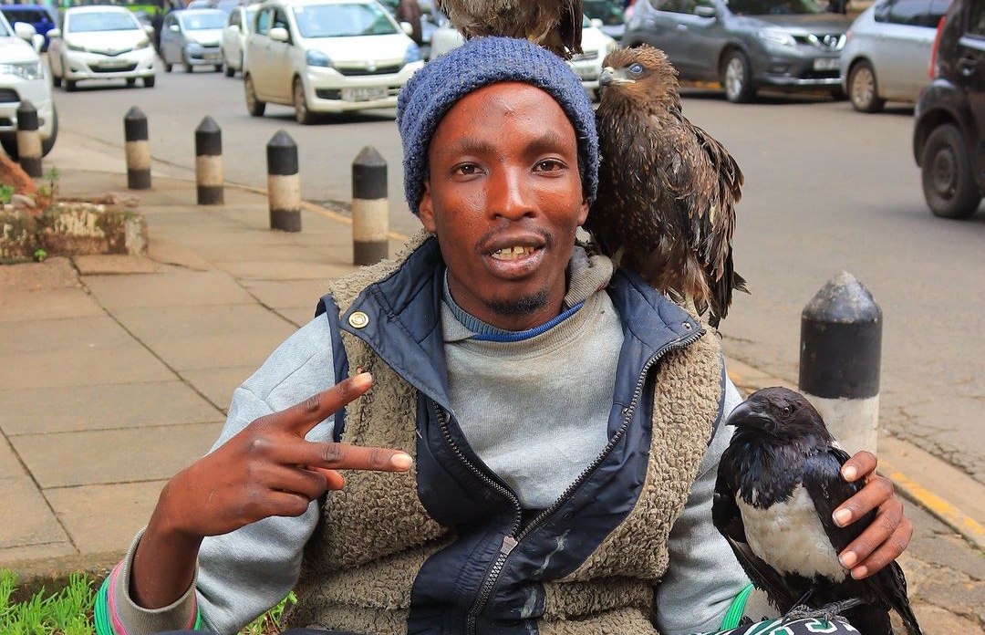 Nairobi Birdman Adds New Bird to His Pet Collection #Birdman