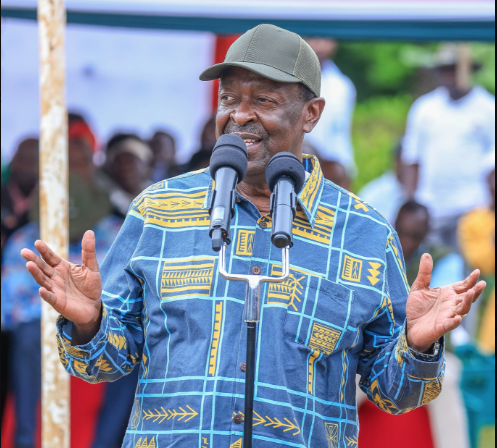 Kenyans who fought for Russia broke the law